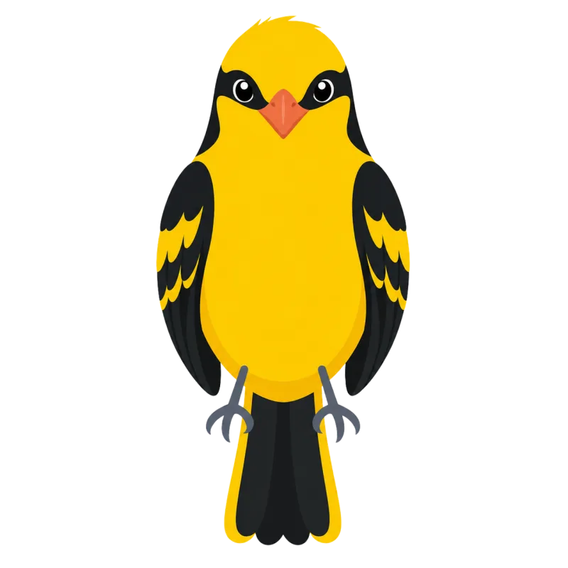 Golden oriole Yellow bird Songbird Stickdatei – Tiere