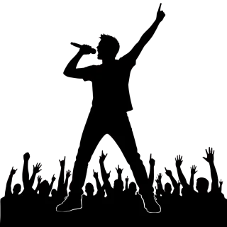 Singer Concert Music Stickdatei – Musik