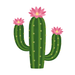 Cactus Pink flowers Green Stickdatei