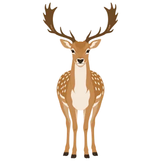 Fallow deer Antlers Forest Stickdatei