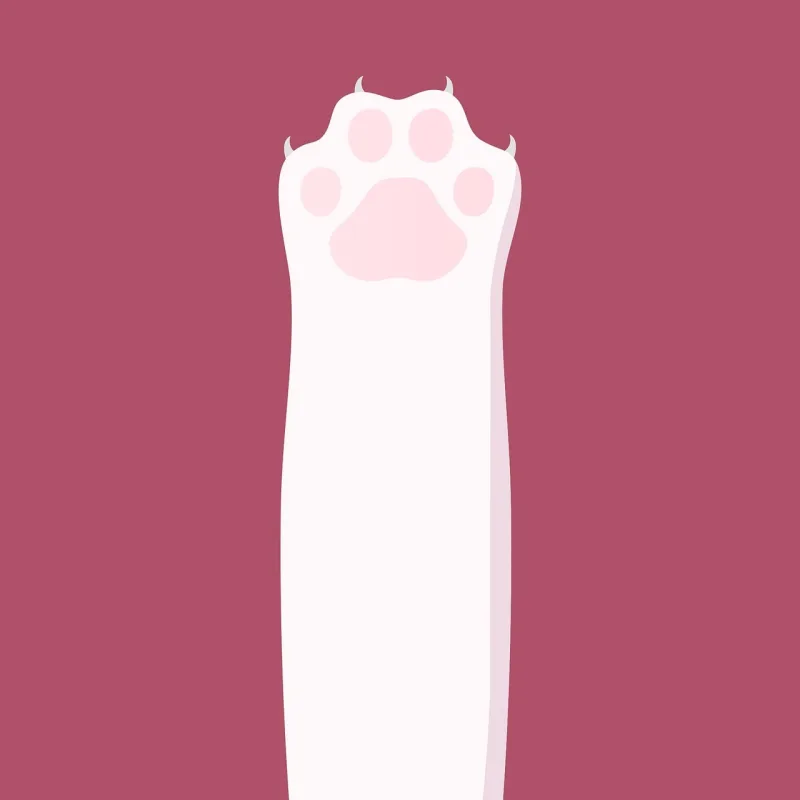 Paw Cat paw Pink pads Stickdatei – Blumen