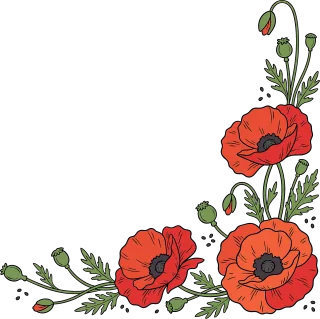 Poppy flowers Red poppies Botanical illustration Stickdatei – Blumen