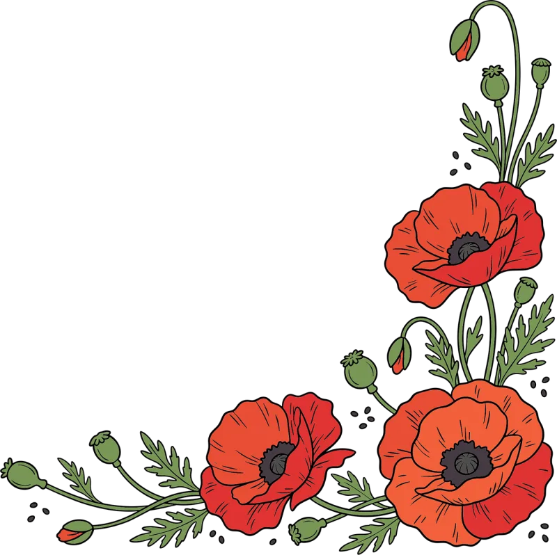 Poppy flowers Red poppies Botanical illustration Stickdatei – Blumen