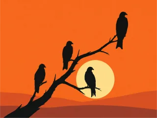 Silhouette Sunset Tree branch Stickdatei