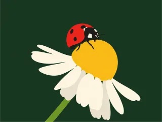Ladybug Daisy Red Stickdatei