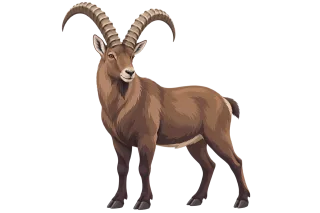 Ibex Wild goat Mountain wilderness Stickdatei