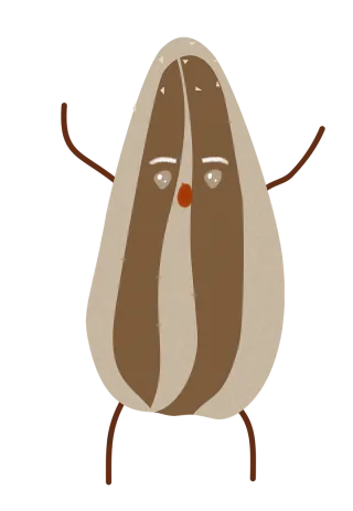 Sunflower seed Cartoon character Brown Stickdatei – Blumen