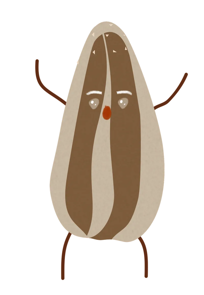Sunflower seed Cartoon character Brown Stickdatei – Blumen