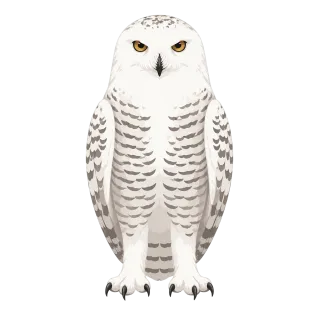 Snowy owl Owl Arctic Stickdatei