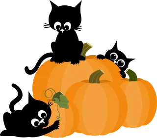 Cat Pumpkin Kittens Stickdatei