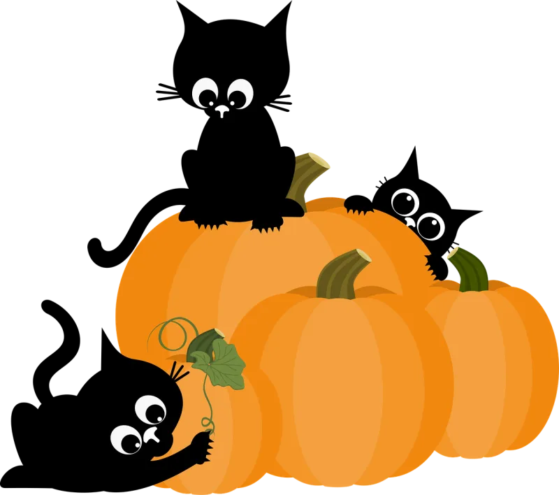 Cat Pumpkin Kittens Stickdatei – Tiere