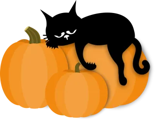 Cat Pumpkin Sleep Stickdatei