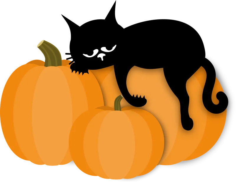 Cat Pumpkin Sleep Stickdatei – Tiere