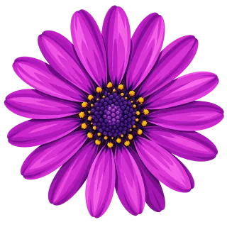 Cape daisy Purple flower Osteospermum Stickdatei – Blumen