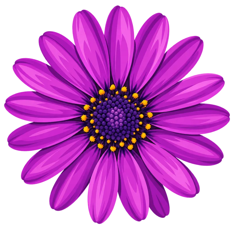 Cape daisy Purple flower Osteospermum Stickdatei – Blumen