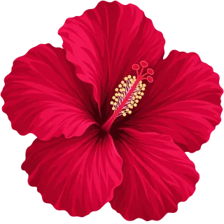 Hibiscus Red flower Tropical plant Stickdatei – Blumen
