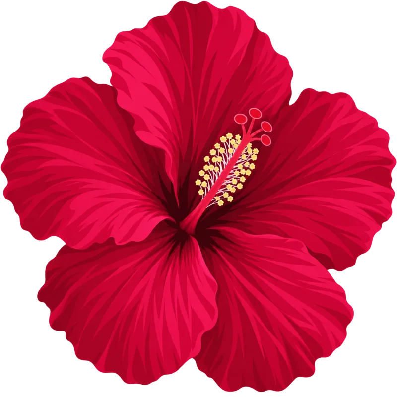 Hibiscus Red flower Tropical plant Stickdatei – Blumen