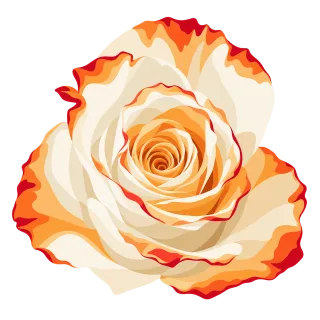 Cream rose Orange rose Red edged rose Stickdatei – Blumen