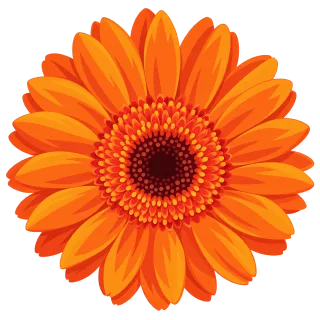 Gerbera Orange flower Petal Stickdatei – Blumen