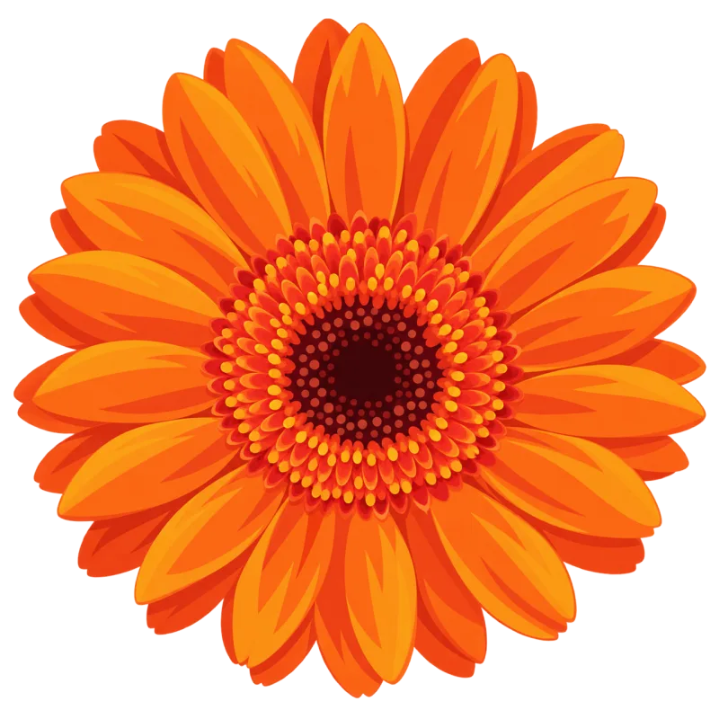 Gerbera Orange flower Petal Stickdatei – Blumen