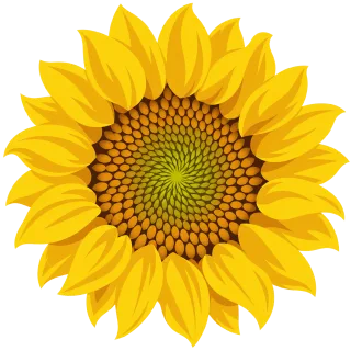Sunflower Yellow flower Bloom Stickdatei – Blumen