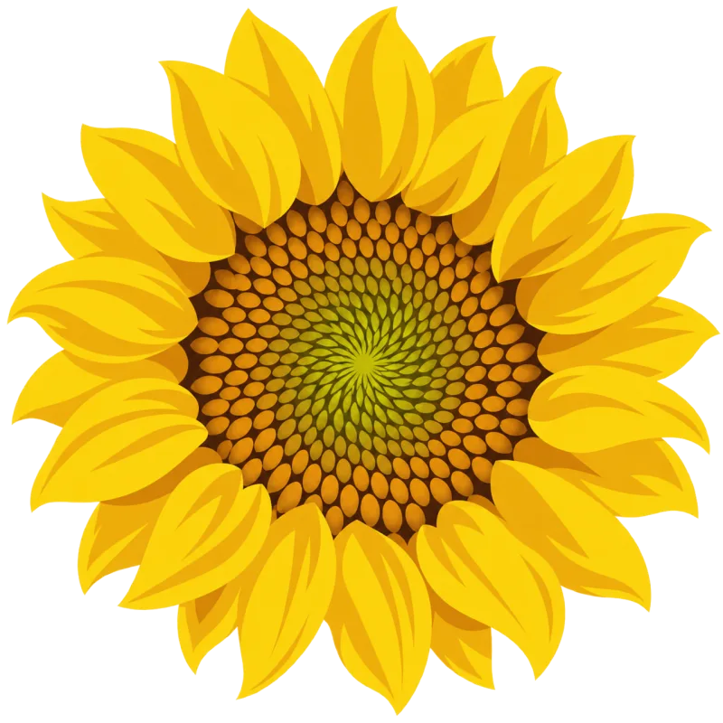 Sunflower Yellow flower Bloom Stickdatei – Blumen