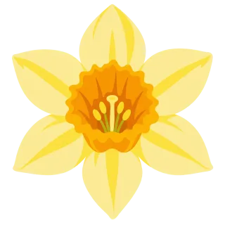 Daffodil Flower Yellow Stickdatei – Musik