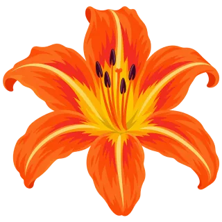 Orange lily Flower Six petals Stickdatei – Blumen
