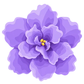 African violet Purple flower Bloom Stickdatei – Blumen