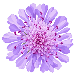Flower Scabiosa flower Purple flower Stickdatei – Blumen