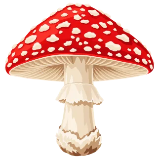 Fly agaric Poisonous mushroom Red cap Stickdatei – Natur