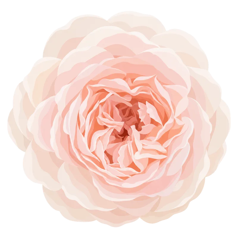 Pink peony Peony flower Pastel flower Stickdatei – Blumen
