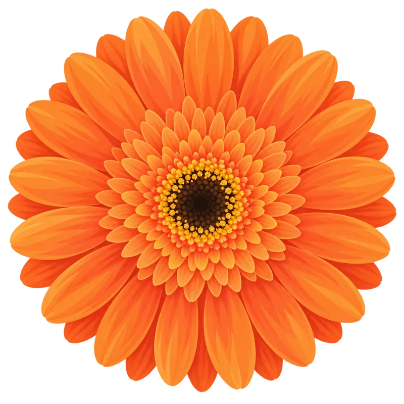 Orange gerbera Gerbera flower Orange flower Stickdatei – Blumen
