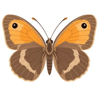Butterfly Meadow Entomology Stickdatei