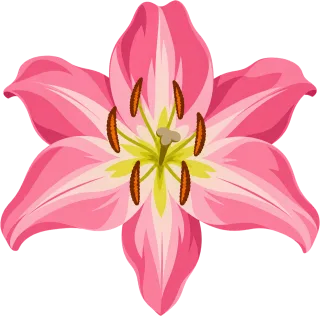 Pink lily Flower Lilium Stickdatei – Blumen