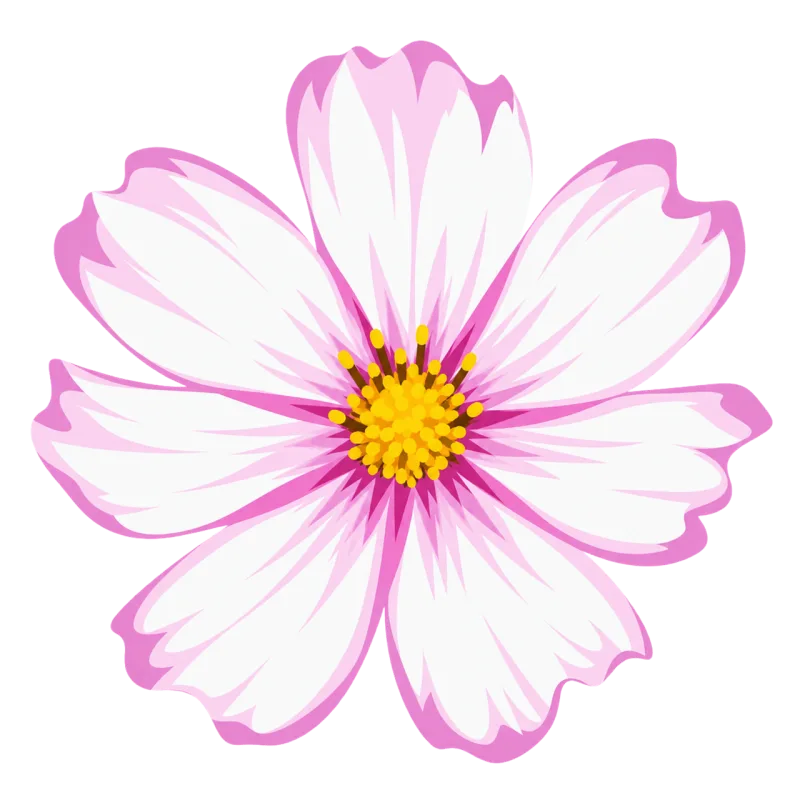 Pink cosmos Cosmos flower Pink and white flower Stickdatei – Blumen