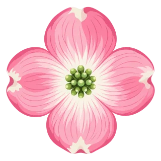 Pink dogwood Dogwood flower Pastel pink Stickdatei – Blumen