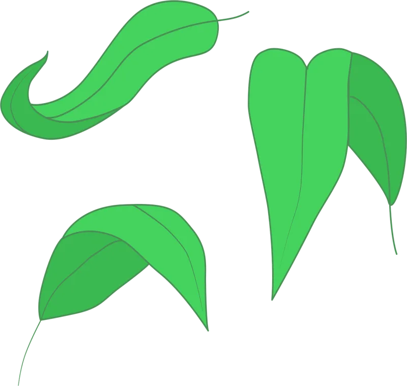 Green leaf Leaf illustration Minimalist design Stickdatei – Natur