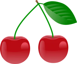 Cherry Fruit Food Stickdatei