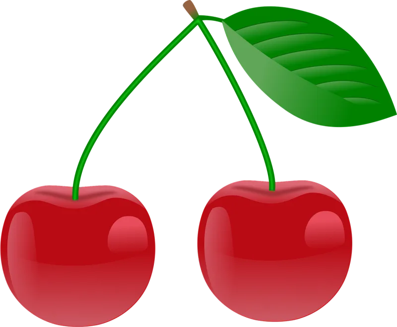 Cherry Fruit Food Stickdatei – Natur