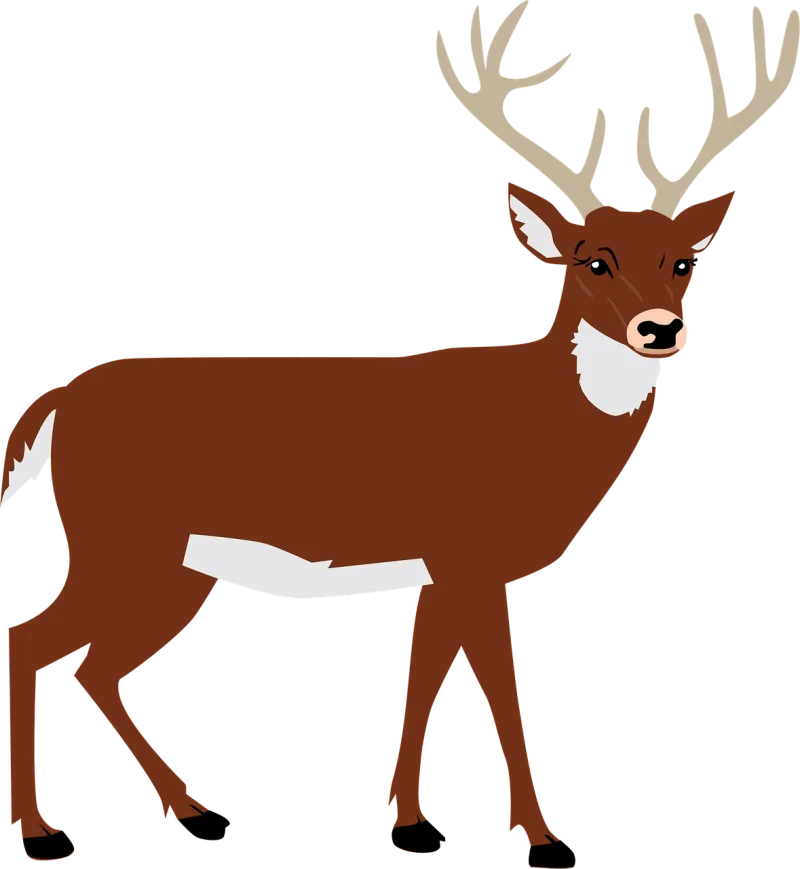 Deer Antlers Nature Stickdatei – Tiere