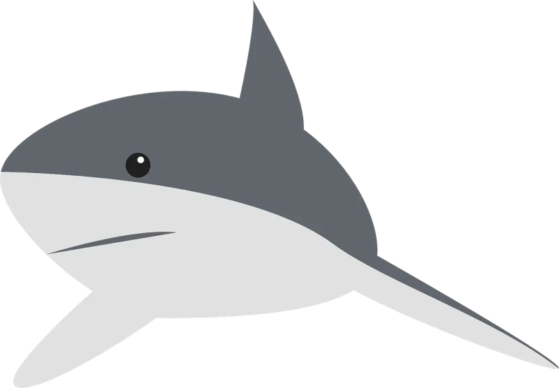 Shark Perspective Swimming Stickdatei – Sport