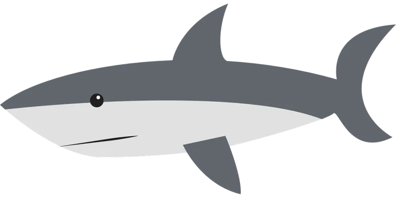 Shark Side Swimming Stickdatei – Sport