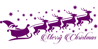Santa Reindeer Christmast Stickdatei