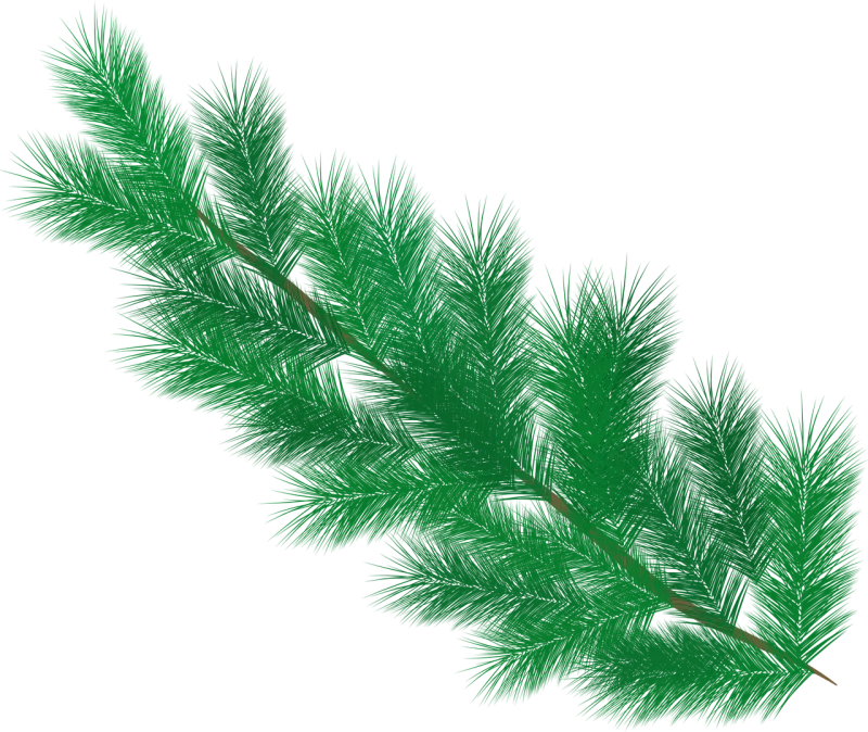 Fir tree Branch Pine needles Stickdatei – Natur