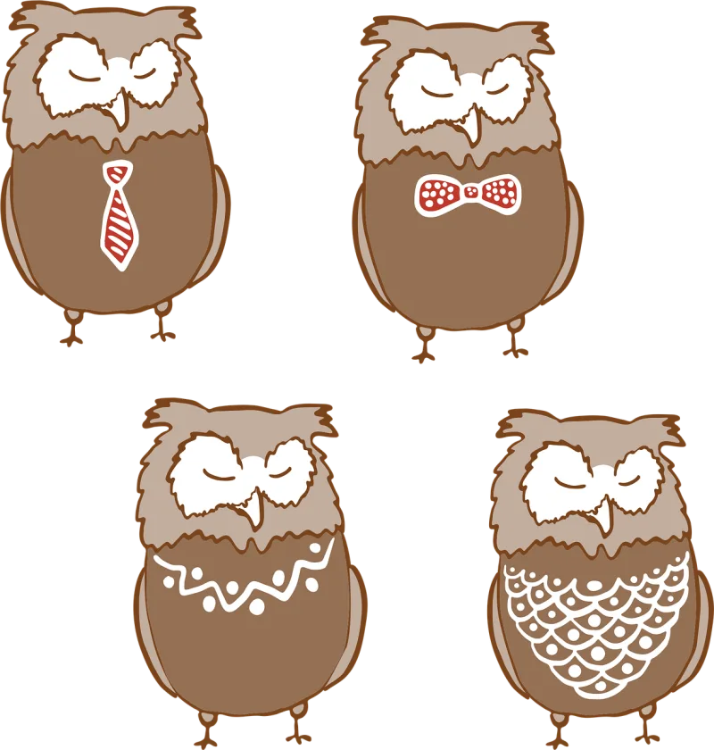 Owl Bird Drawing Stickdatei – Tiere