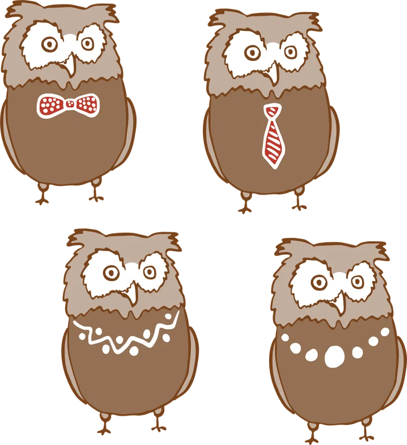 Owl Nature Bird Stickdatei – Tiere