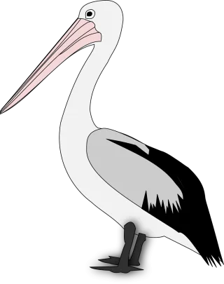 Pelican Nature Bird Stickdatei – Tiere