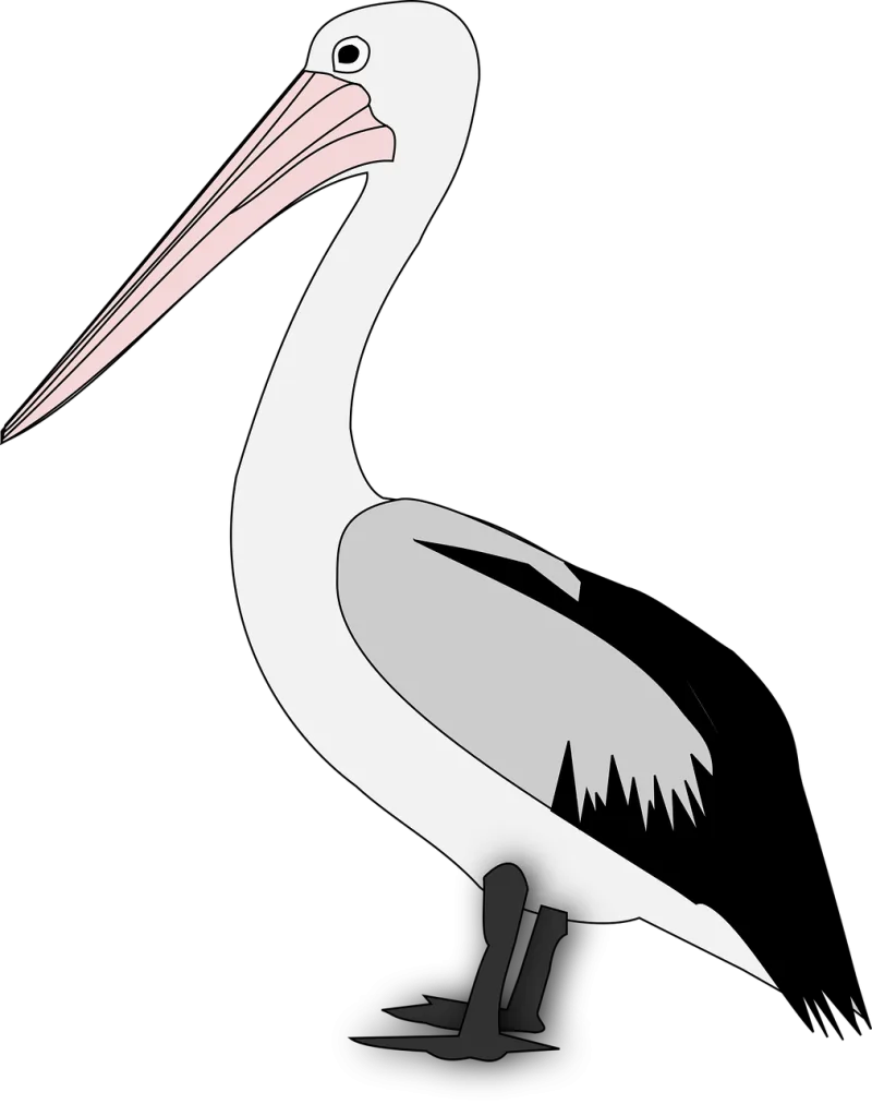 Pelican Nature Bird Stickdatei – Tiere