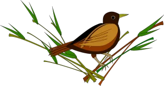 Sparrow Nature Bird Stickdatei – Tiere